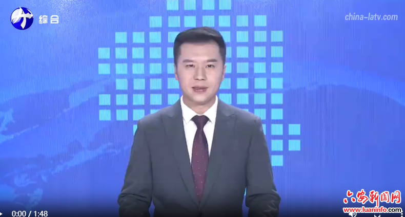  舒城：供电服务“满格电” 春茶飘香有保障