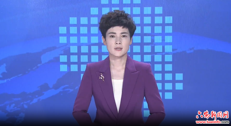 紧握“民生画笔” 绘就皖西大地幸福新图景