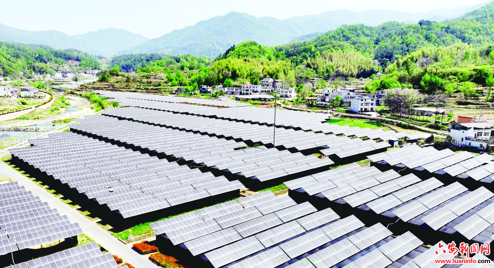 “药光互补”助增收