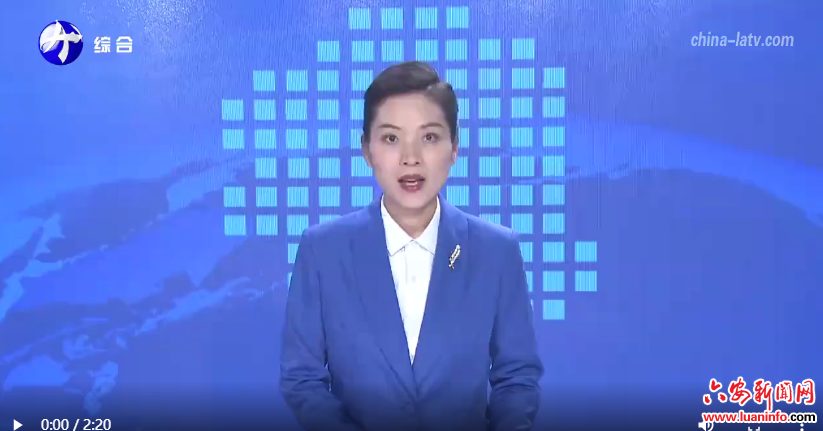  霍山县佛子岭镇：“鸿雁回归”促振兴