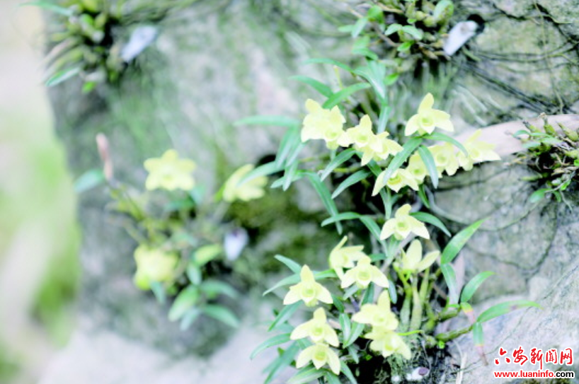 0134cfb1a85942cf9e112ee5faee1fc9.png
