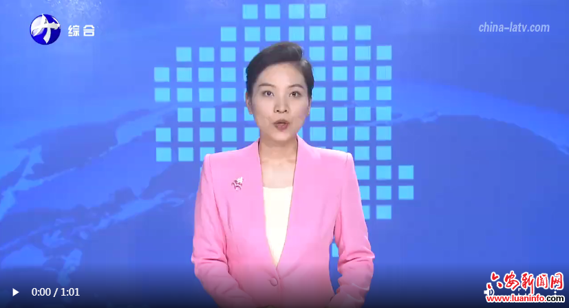 2025年文化科技卫生“三下乡”集中示范服务举行