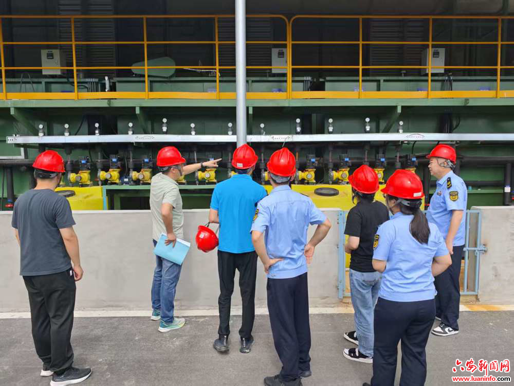 “亲清有约  我帮您检”——裕安环保服务精准护航企业绿色发展