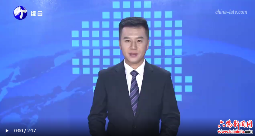 舒城：“无事”找书记绘就乡村振兴新画卷