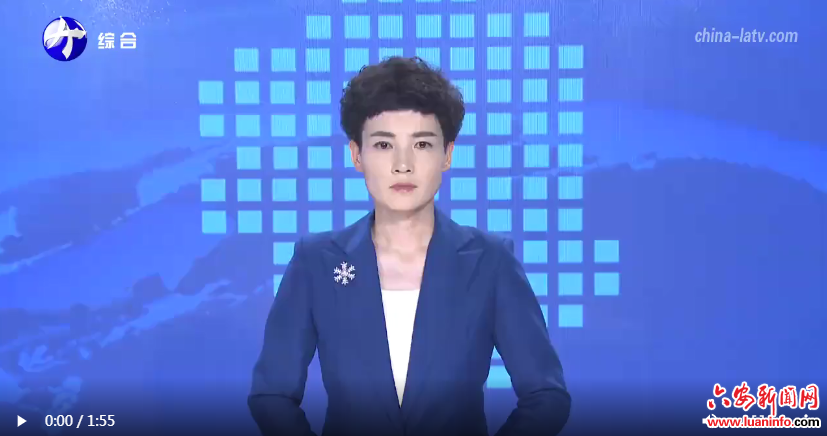 舒城县柏林乡：“幸福驿站”打造乡村服务综合体
