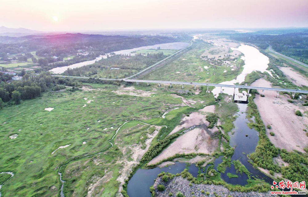 夏日湿地生态美