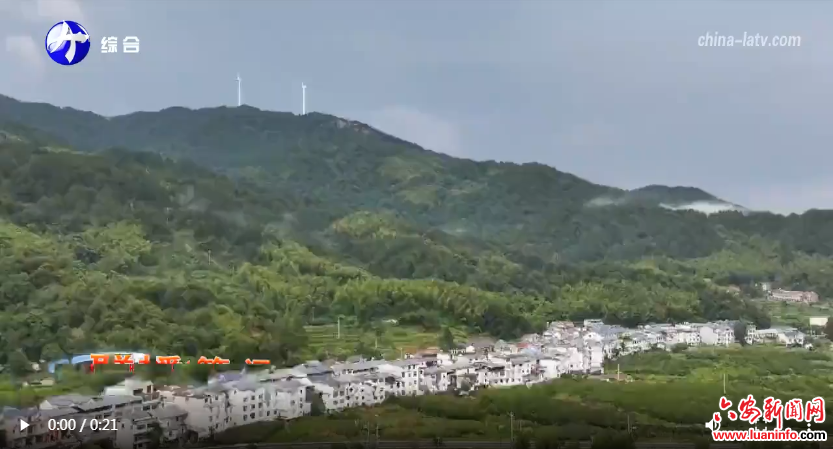 金寨县再获全省乡村振兴先进县