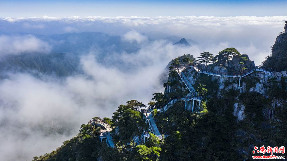 268730a294934831b72af12757edcccd.jpeg 268730a294934831b72af12757edcccd.jpeg