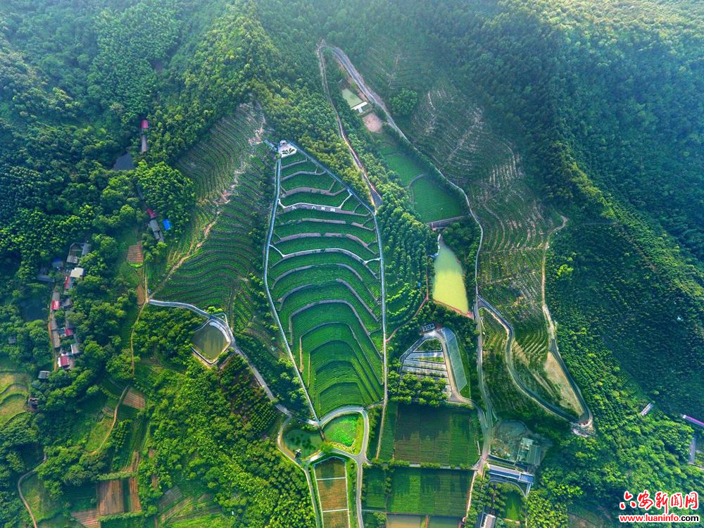 5c83c3d548f34594afe3444460028b20.jpeg 5c83c3d548f34594afe3444460028b20.jpeg