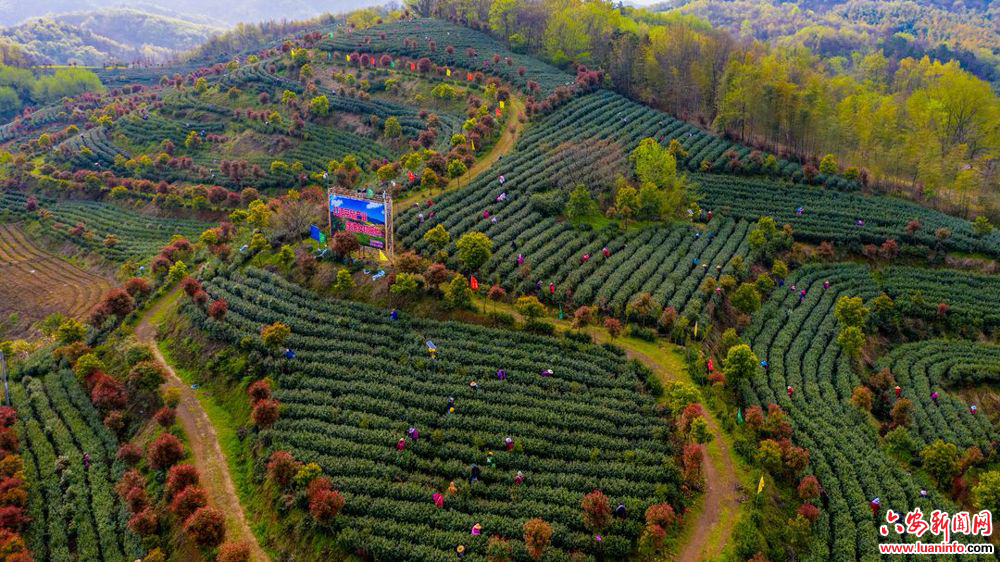 9f51c33b36fc4154b76809d893c31c4b.jpeg 9f51c33b36fc4154b76809d893c31c4b.jpeg