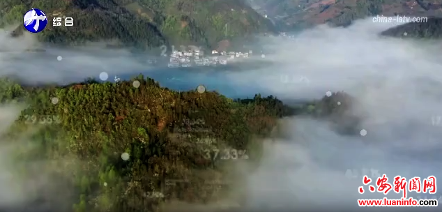 金寨县汤家汇镇：党建搭起“连心桥” 产业铺就致富路