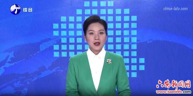 金寨：爱心送餐惠民生