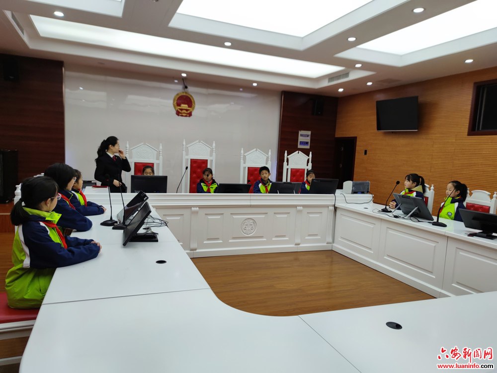 法治润童心 宪法伴成长 ——六安市紫竹林小学开展宪法宣传日系列活动