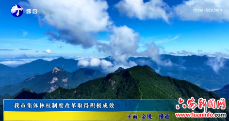 我市集体林权制度改革取得了积极成效