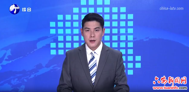 六安市学习贯彻党的二十届四中全会精神巡回宣讲进基层活动走进舒城