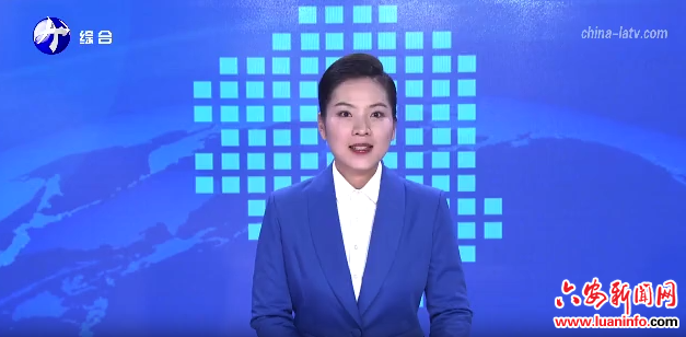 营商环境品牌赋能“皋效”安心发展