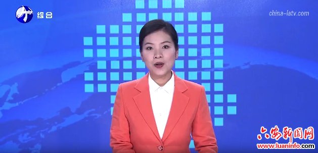 霍山：创新社会救助模式 推行“帮办代办”服务