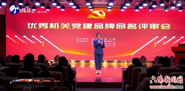 裕安区开展优秀机关党建品牌命名评审