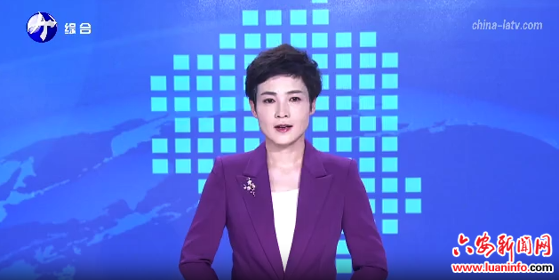  金寨：“流露心声”听民需 闭环治理解民忧