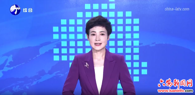 六安：商务经济高质量发展迈新步