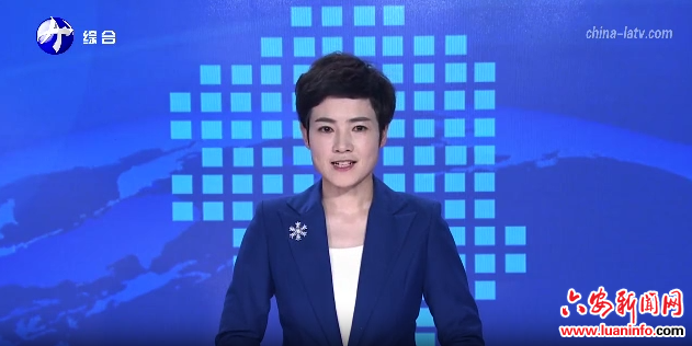 六安仲裁委员会换届会议暨第三届委员会第一次会议召开