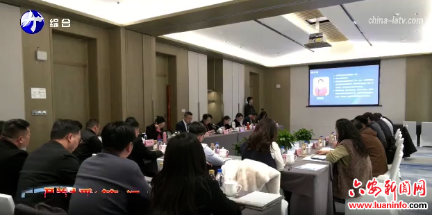 霍山石斛药食同源功能及临床应用推进会在霍山县召开