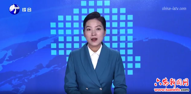 舒城县山七镇梅方村：党建引领融孝善 网格治理绘新篇