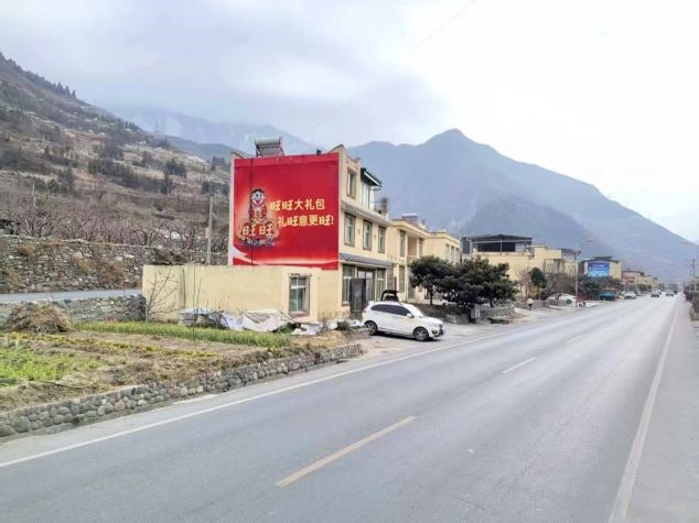 从贺岁片到旺运墙——旺旺大礼包以“送旺祝福”破局春节营销，温暖中国年