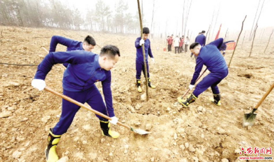 “火焰蓝”植树护青山