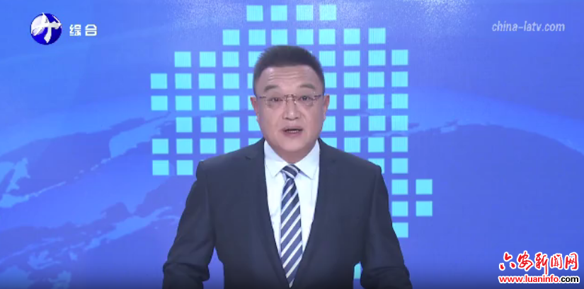 舒城：优化政务服务 跑出便民利企“加速度