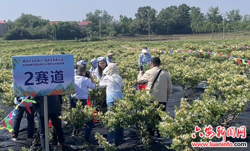 花开富贵   羽化成“先”