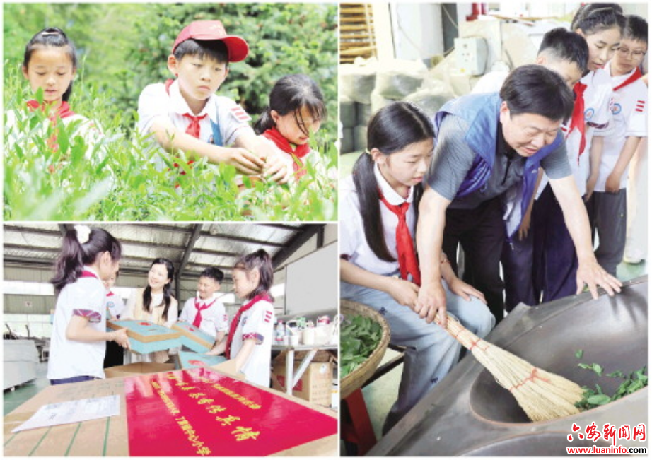茶香作礼 续写皖疆少年情