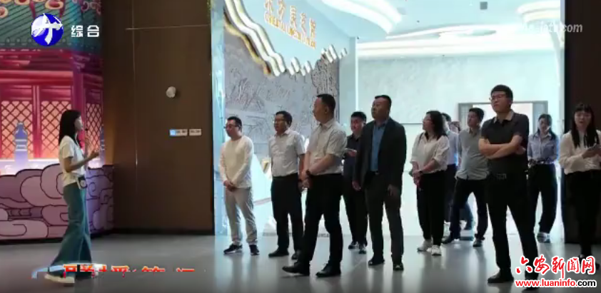 京东方科技集团股份有限公司到金寨县考察调研