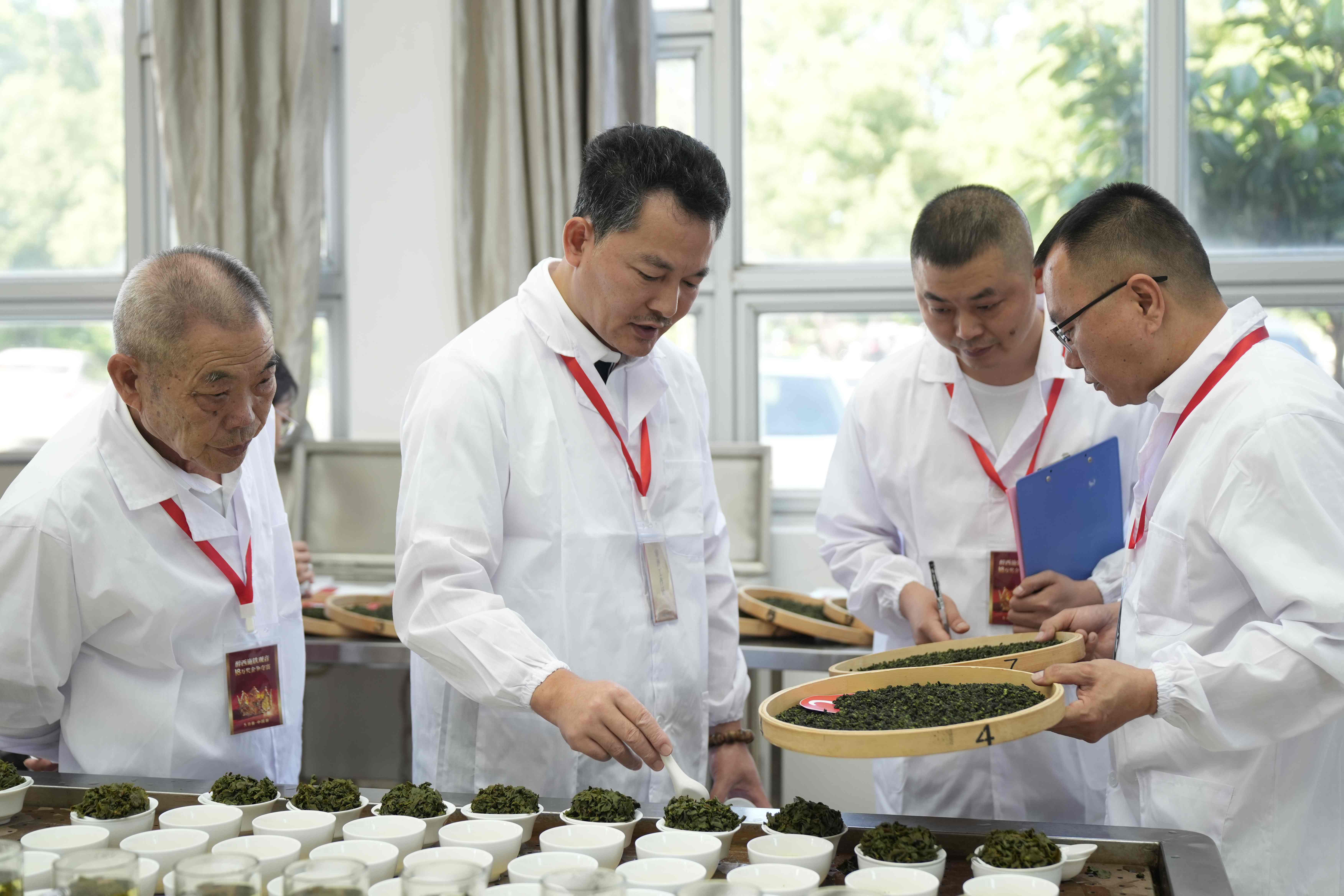 图片1、茶王赛现场 国家一级评茶师、中国制茶大师、国务院政府特殊津贴专家盲评优选(1).JPG