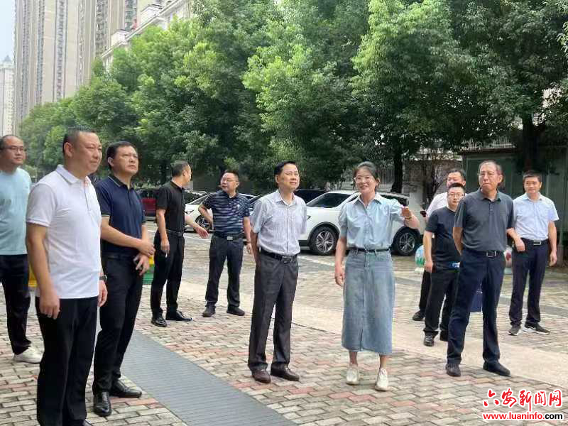 市委社会工作部到裕安区调研网格化管理工作