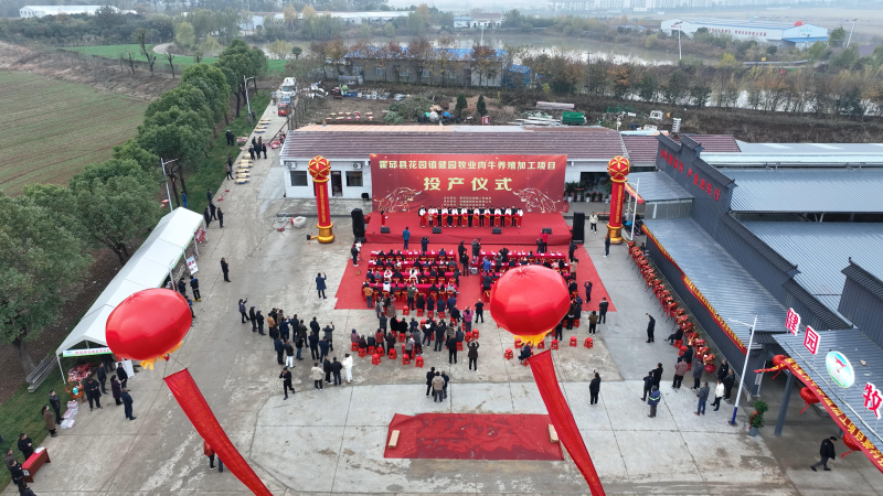 安徽健园牧业有限公司千头肉牛养殖项目正式投产