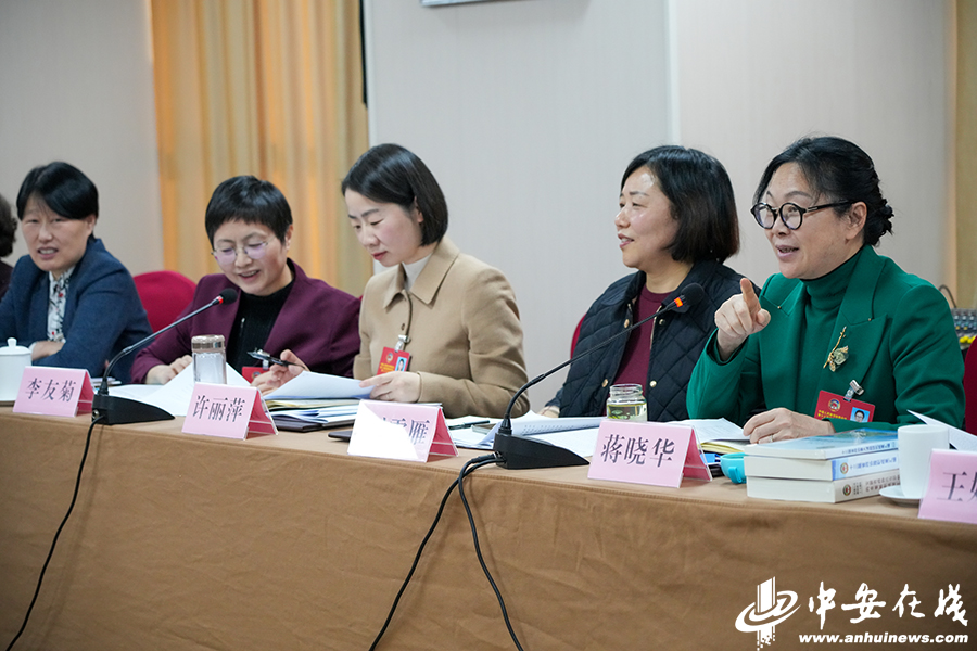 两会影像｜安徽省政协十三届三次会议举行分组审议