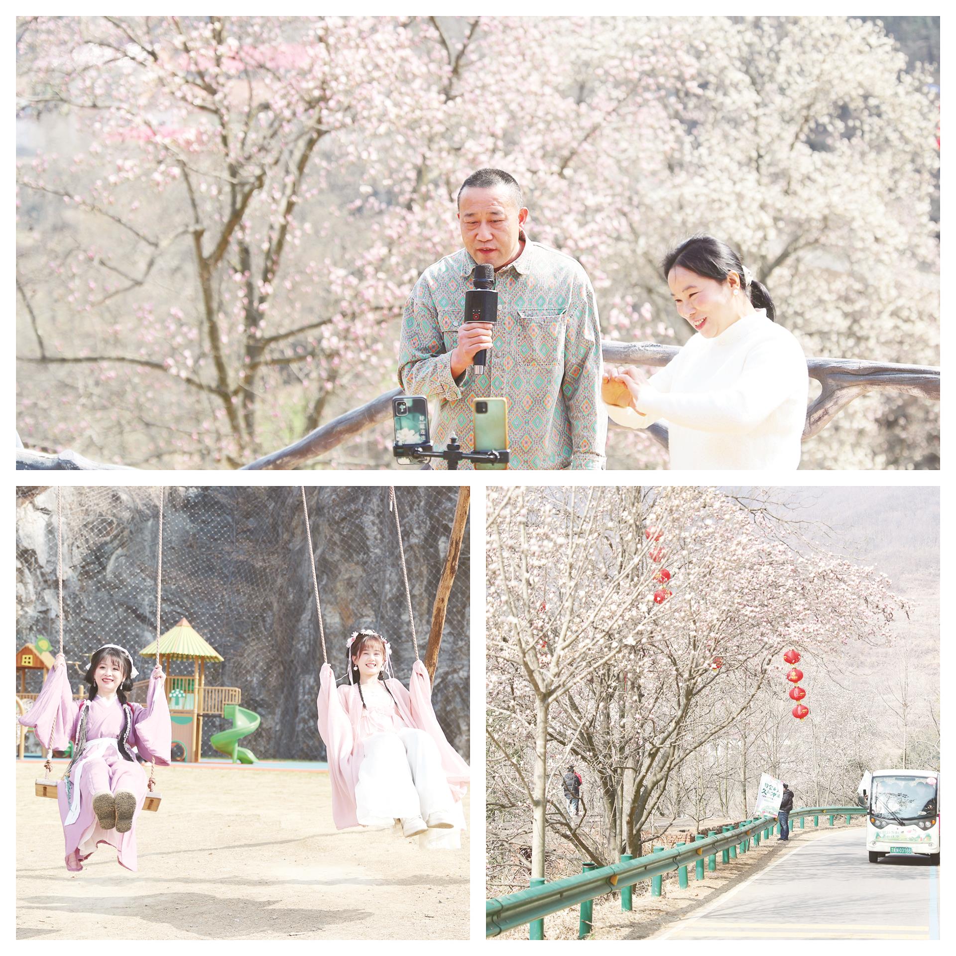 以春之名 共赴花事