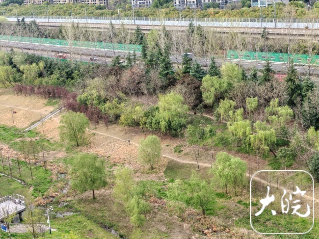 多云到晴为主、气温宜人 江淮大地回归“春天该有的样子”