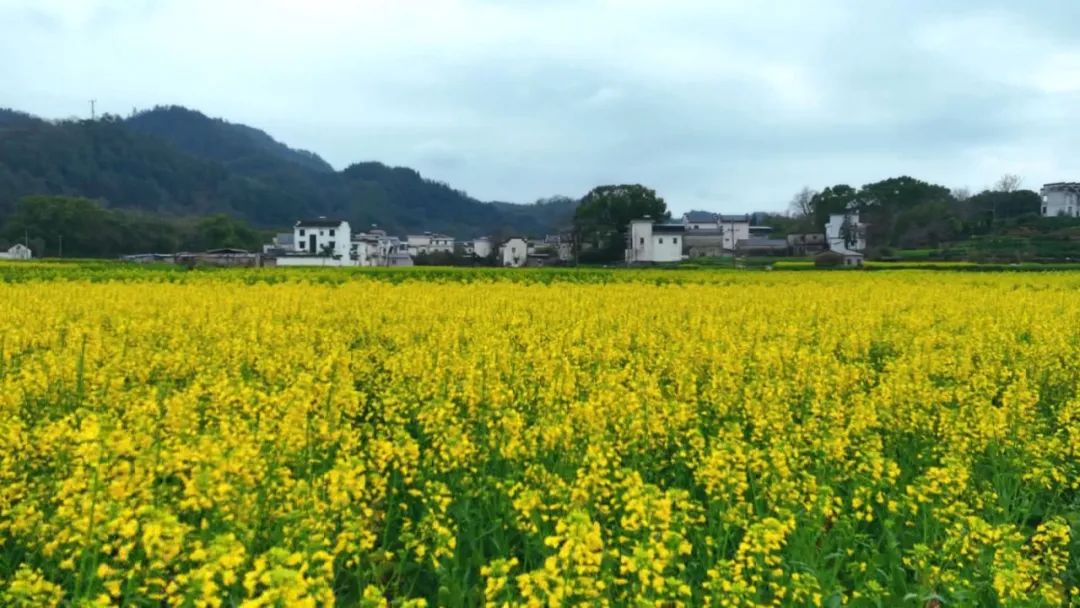 【春游江淮请您来】亲近山水领略人文 尽享浓浓春意