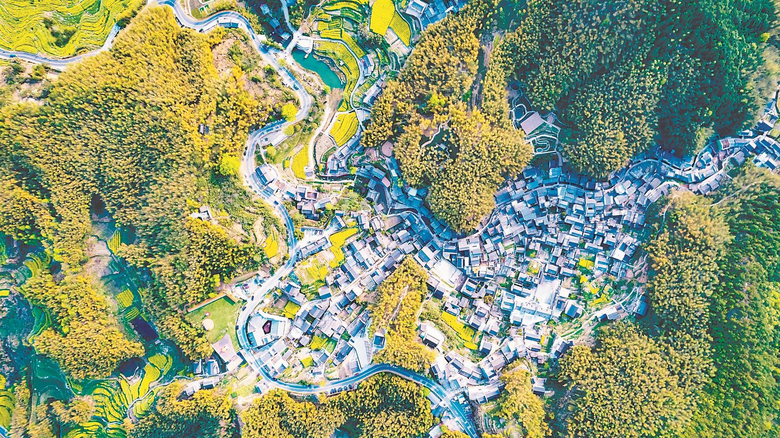 2025年度和美乡村精品示范村建设名单公布