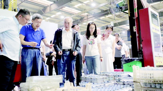 互学互鉴激发“红色动能”