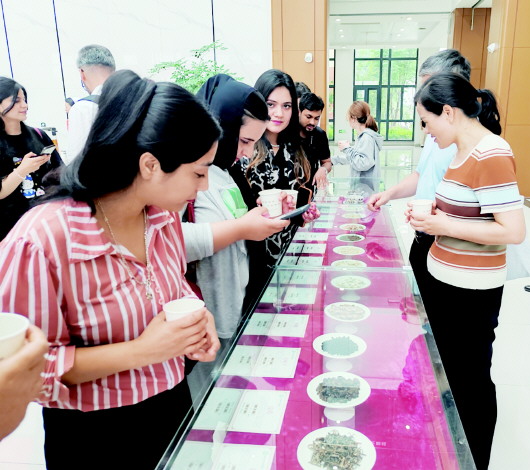 感受中医魅力共筑文化桥梁