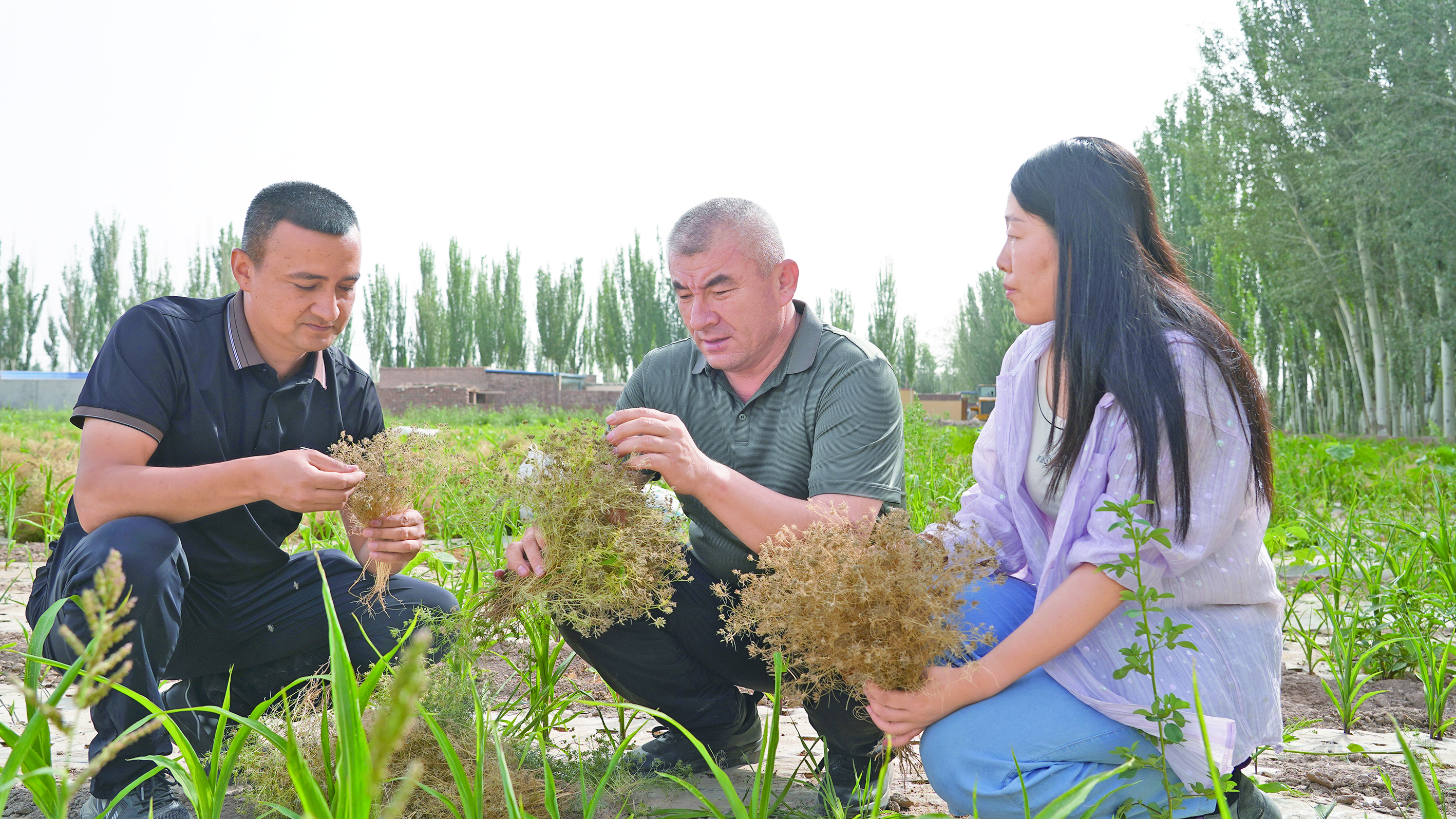 “小”产业书写致富“大”文章