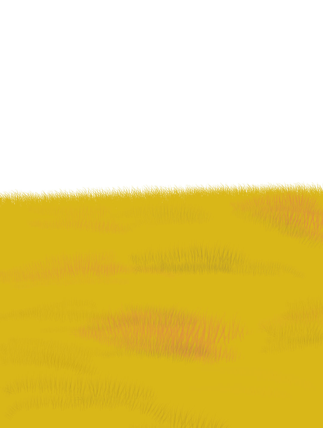 第四次剖宫产！金安区妇幼保健院产科团队护航新生命平安降临