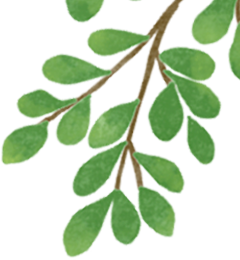 世界过敏日|金安区妇幼保健院关爱过敏儿义诊公益活动来啦~