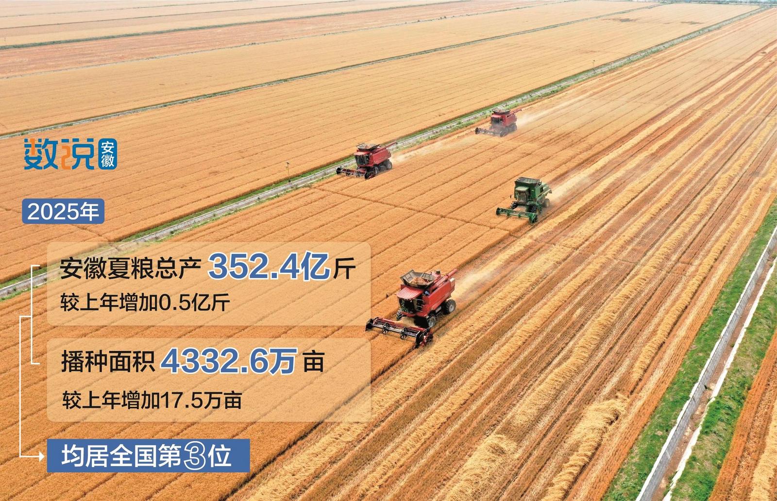 今年安徽夏粮总产352.4亿斤 居全国第三