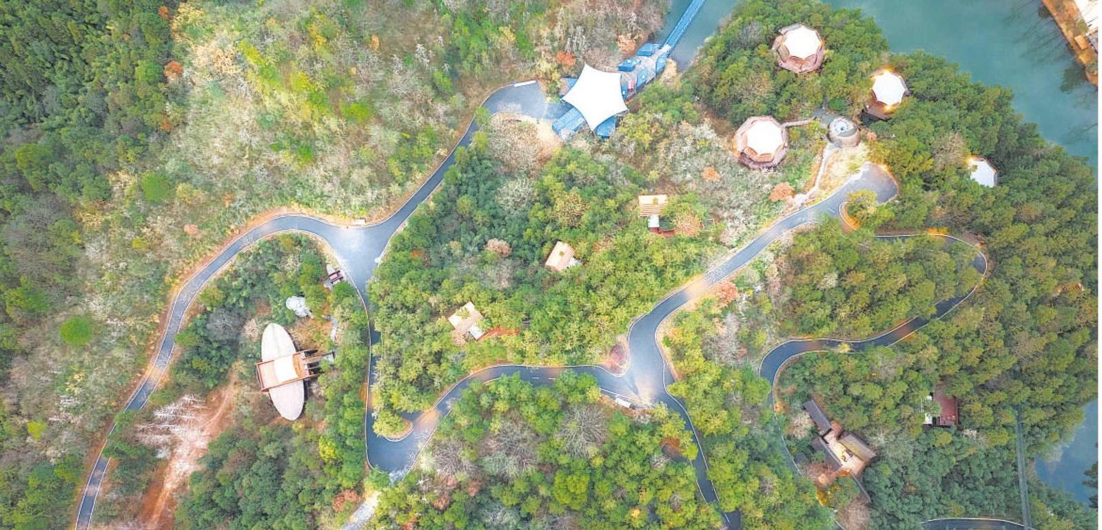 安徽林下经济奔向“绿富美”