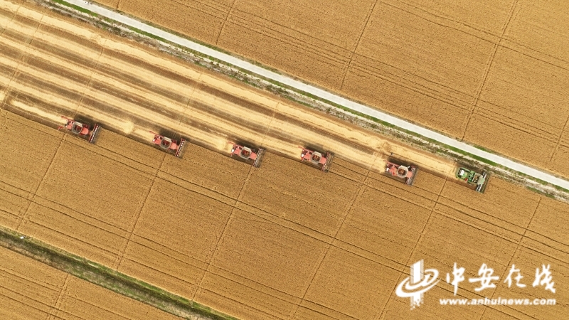 中安观察 | 安徽经济“半年报”出炉，我们看到了什么？