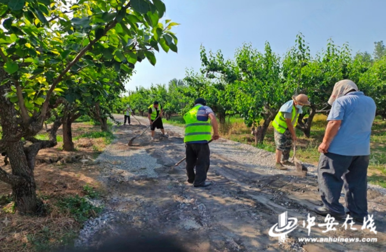 中安观察 | 一条路，三重变